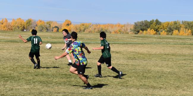 Four people are chasing after a soccer ball. The season is Fall. The trees leaves are yellow and green.