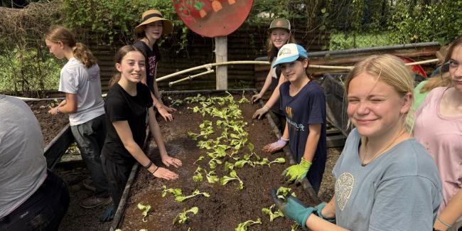 A picture of five girls planting a vegetable in soil. There is a sign that says Organic Farming. The girls are in Costa Rica for a Service Learning Project.