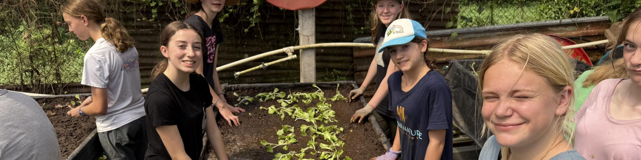 A picture of five girls planting a vegetable in soil. There is a sign that says Organic Farming. The girls are in Costa Rica for a Service Learning Project.