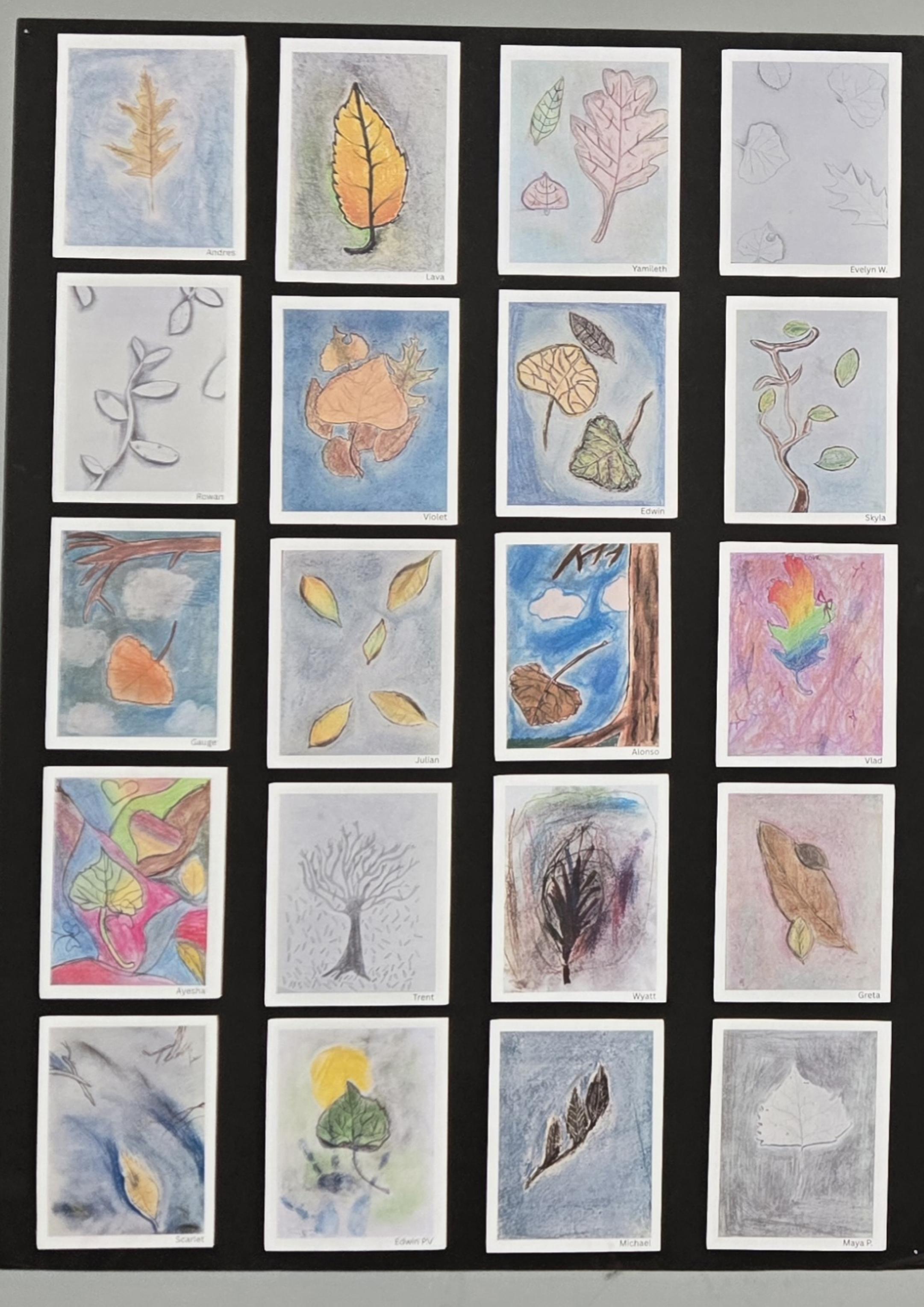 Student art work. A study of leaves. 