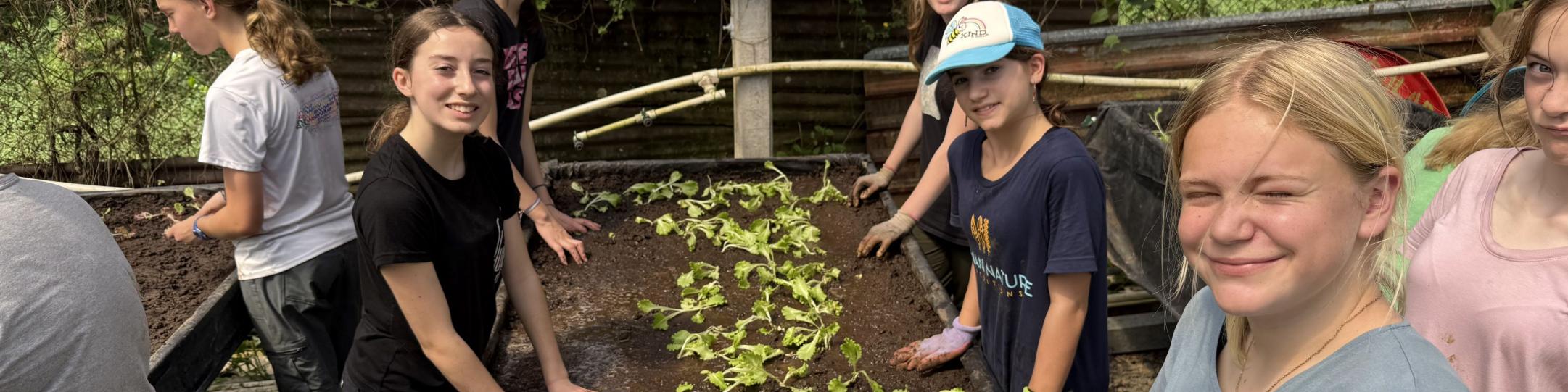 A picture of five girls planting a vegetable in soil. There is a sign that says Organic Farming. The girls are in Costa Rica for a Service Learning Project.