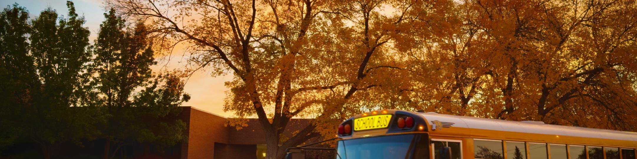 A bus is parked in front of a school. The sun is rising behind the school, casting a yellow glow on the fall leaves of the ash trees. Leaves are covering the grass.